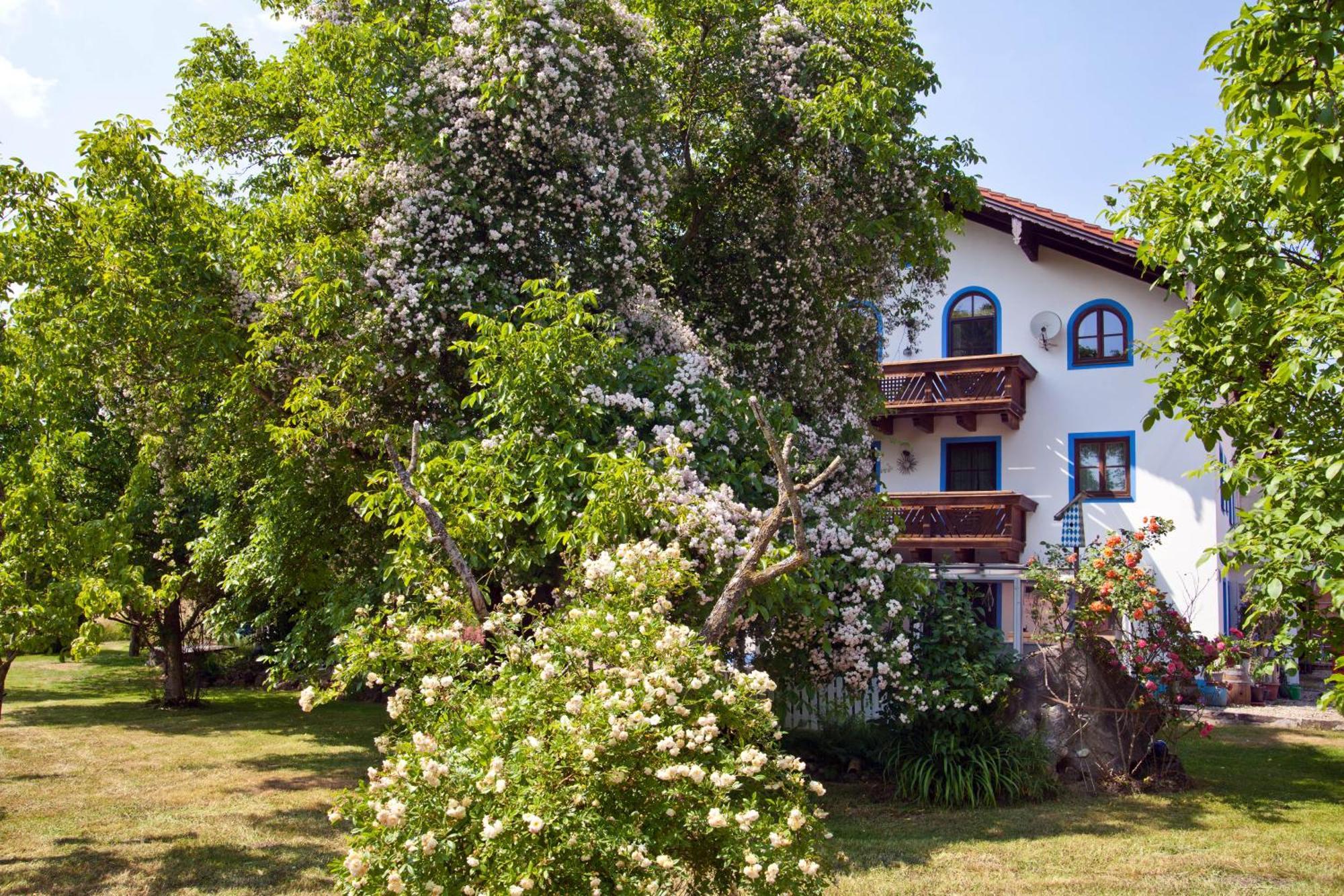 Ferienwohnung Moierhof Palling Extérieur photo